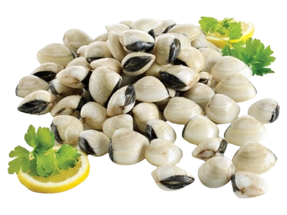 Ameíjoa Branca Vietname 60/80 Congelada Vácuo 900g