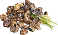 Ameíjoa Castanha Vietname 60/80 Congelada Vácuo 900g