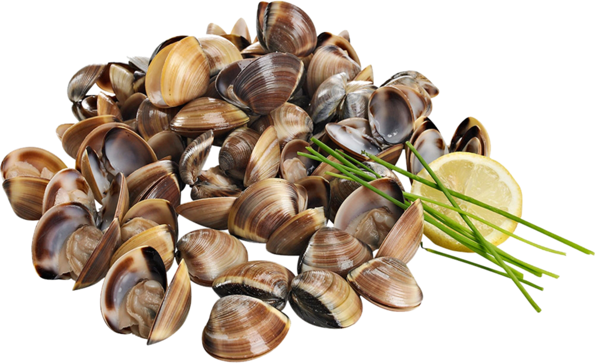 Ameíjoa Castanha Vietname 60/80 Congelada Vácuo 900g