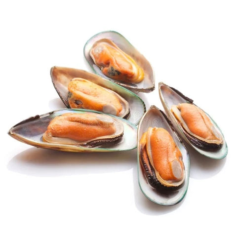 Mexilhão 1/2 Concha 20/30 Nova Zelândia Congelado 800g