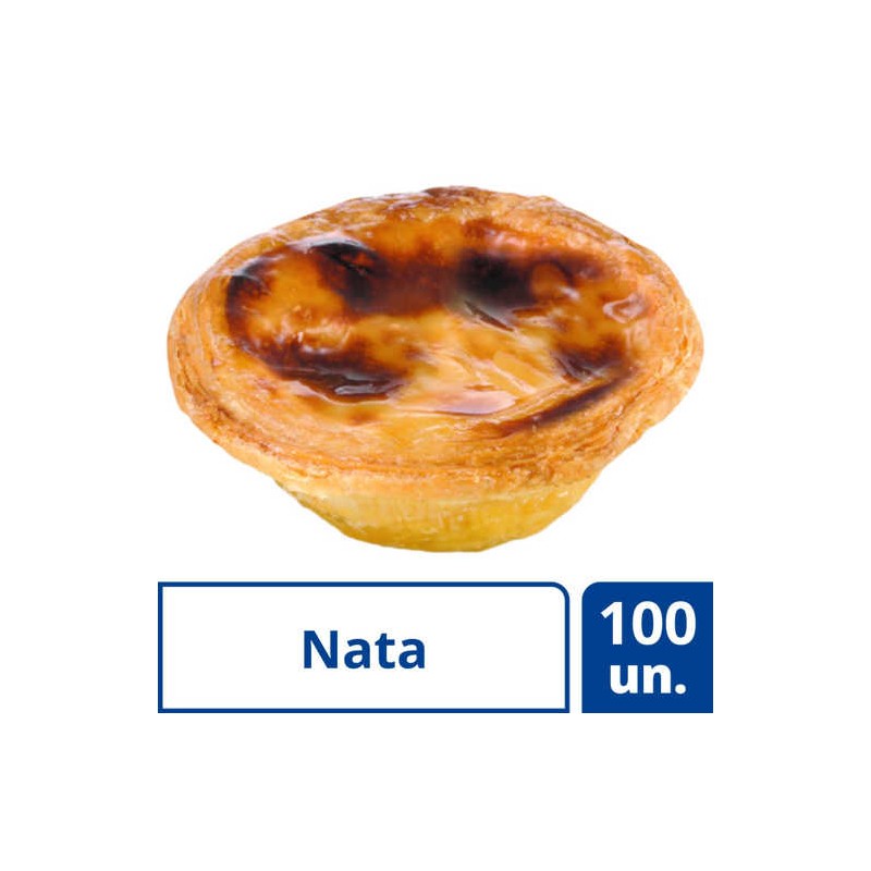 PASTEL NATA NOVO CSM 100x0.65gr