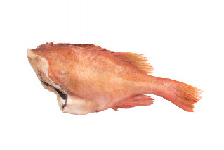Red Fish 3 Inteiro congelado