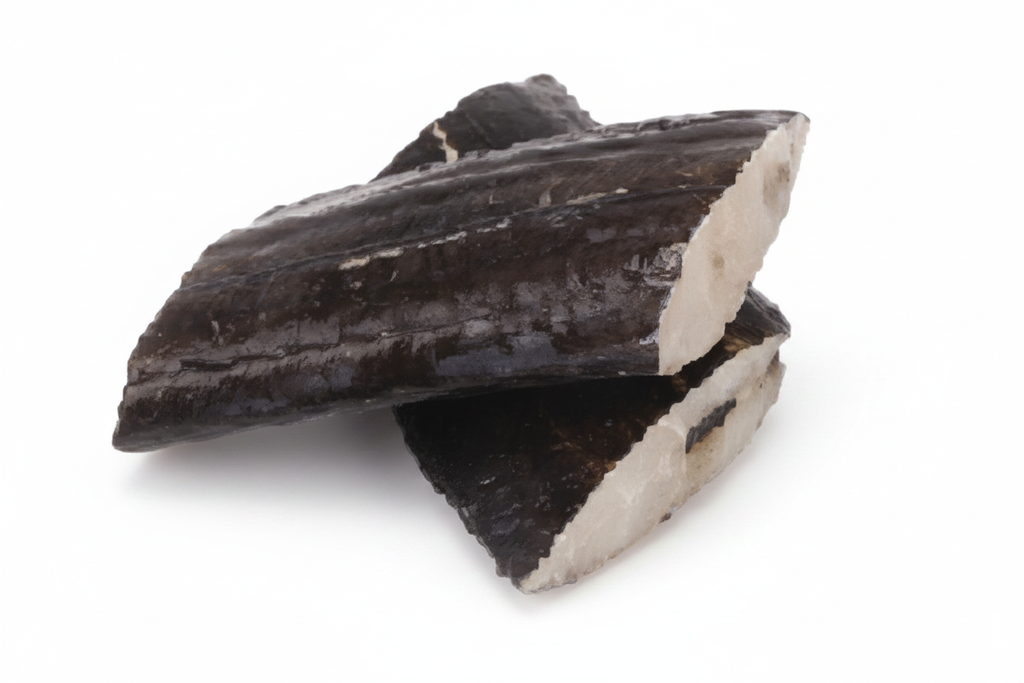 Postas Peixe Espada Preto